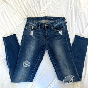 Articles of Society Sarah Distressed Skinny Jeans